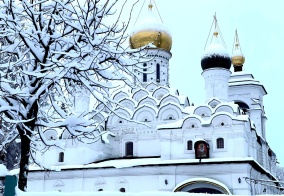 Отель Grand Wellness Hotel в Московской области