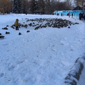 Фото от владельца Городской парк