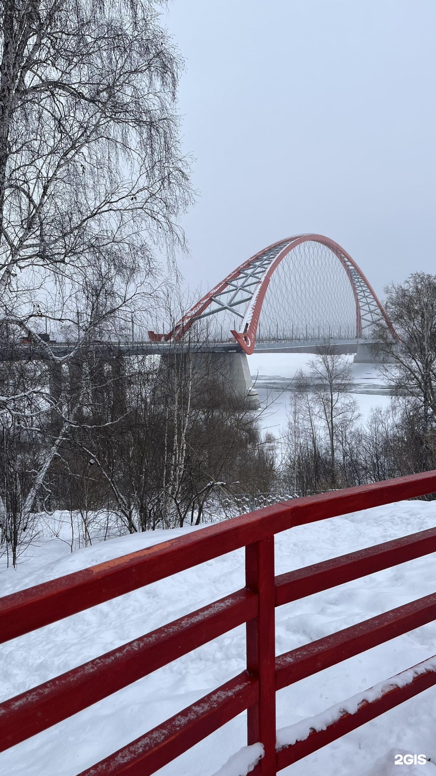 Парк Бугринская роща. Парк отдыха Бугринская роща Новосибирск культуры. Зиплайн Бугринская роща.