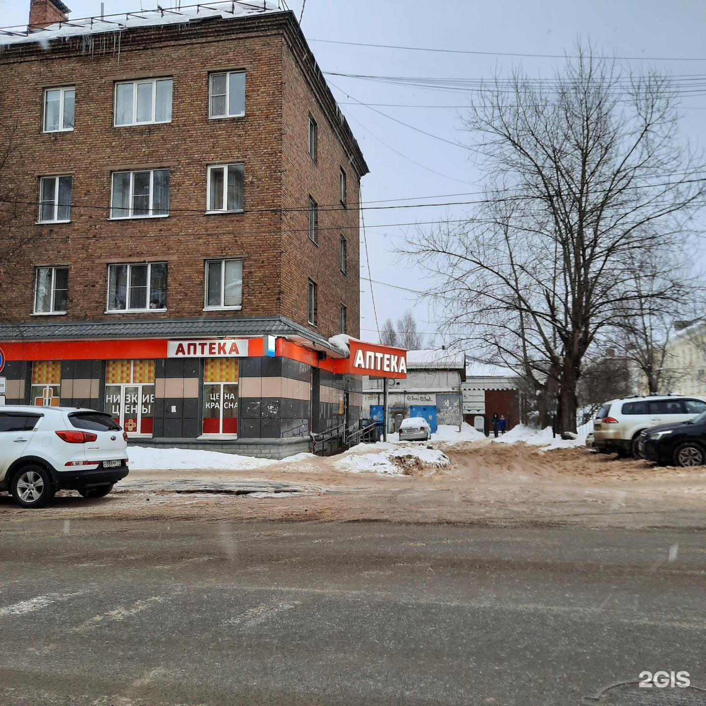 Аптека 11 плюс ухта. Аптека 11 плюс сыктывкар. Сыктывкар улица коммунистическая 10. Фрязевская д 11 аптека. Аптека 11.