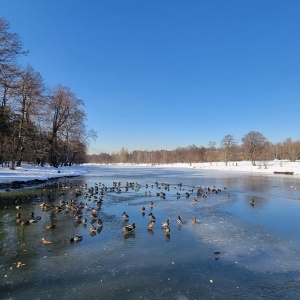 Фото от владельца Кузьминки, парк культуры и отдыха