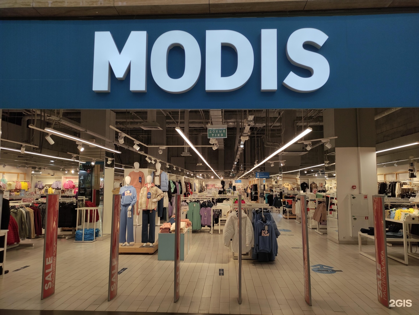 Modis магазин одежды. Модис одежда. Магазин Модис в Москве. Собственник Модис.