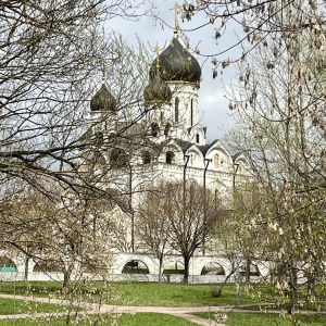 Фото от владельца Храм Преподобного Серафима Саровского в Раеве