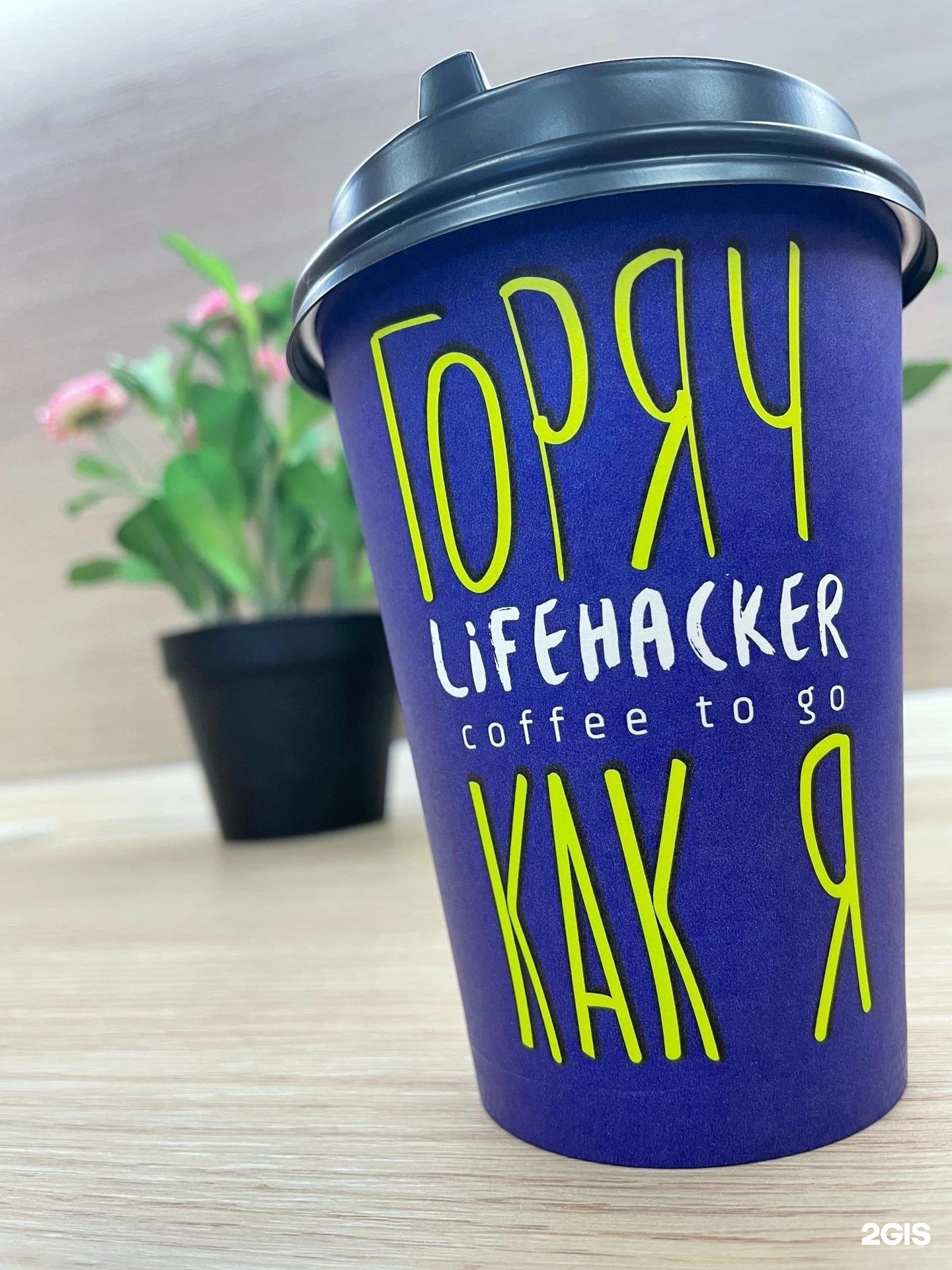 Lifehacker coffee отзывы