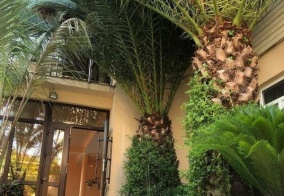 Отель Кристи в Сириусе