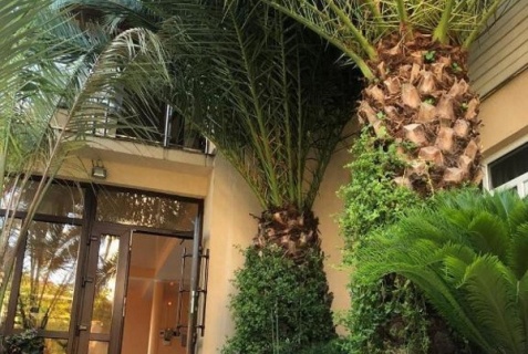 Сириус: Отель Кристи