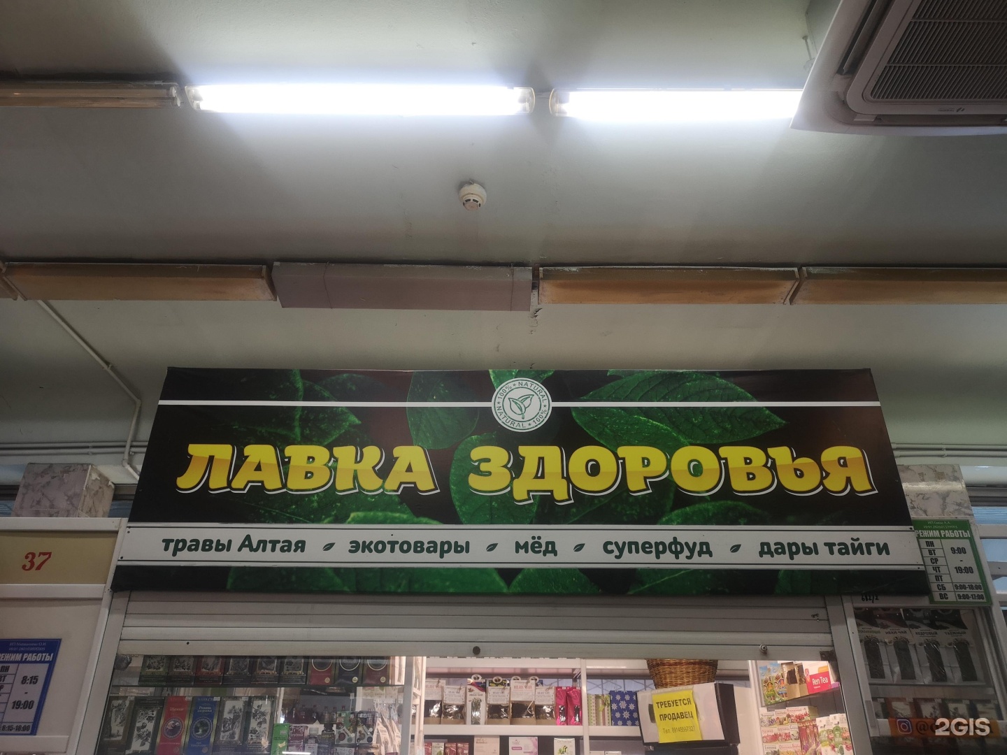 Дары тайги