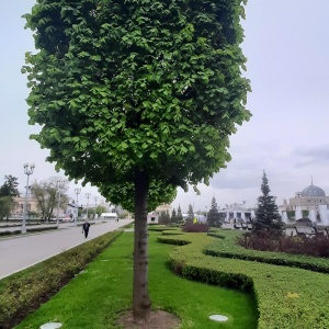 Фото от владельца ВДНХ, ОАО