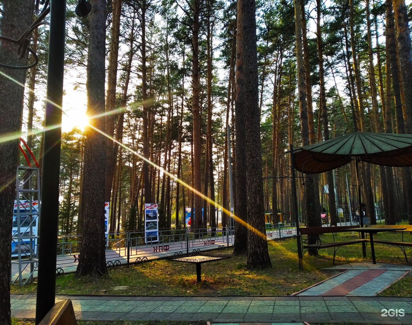 парк заельцовский парк