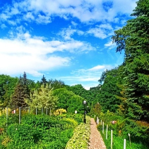 Фото от владельца Ботанический сад, ВятГУ