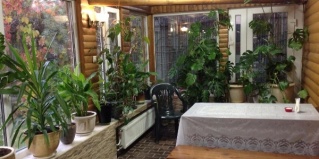 Домодедово: Отель Марина