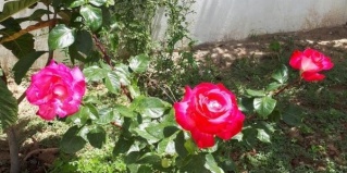 Дербент: Коттедж Коттеджи на Рублевке