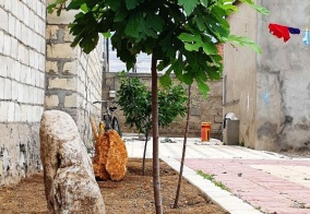 Гостевой дом Green house в Махачкале