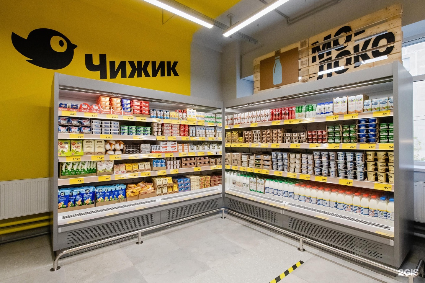 Чижик долгопрудная ул 11а фото