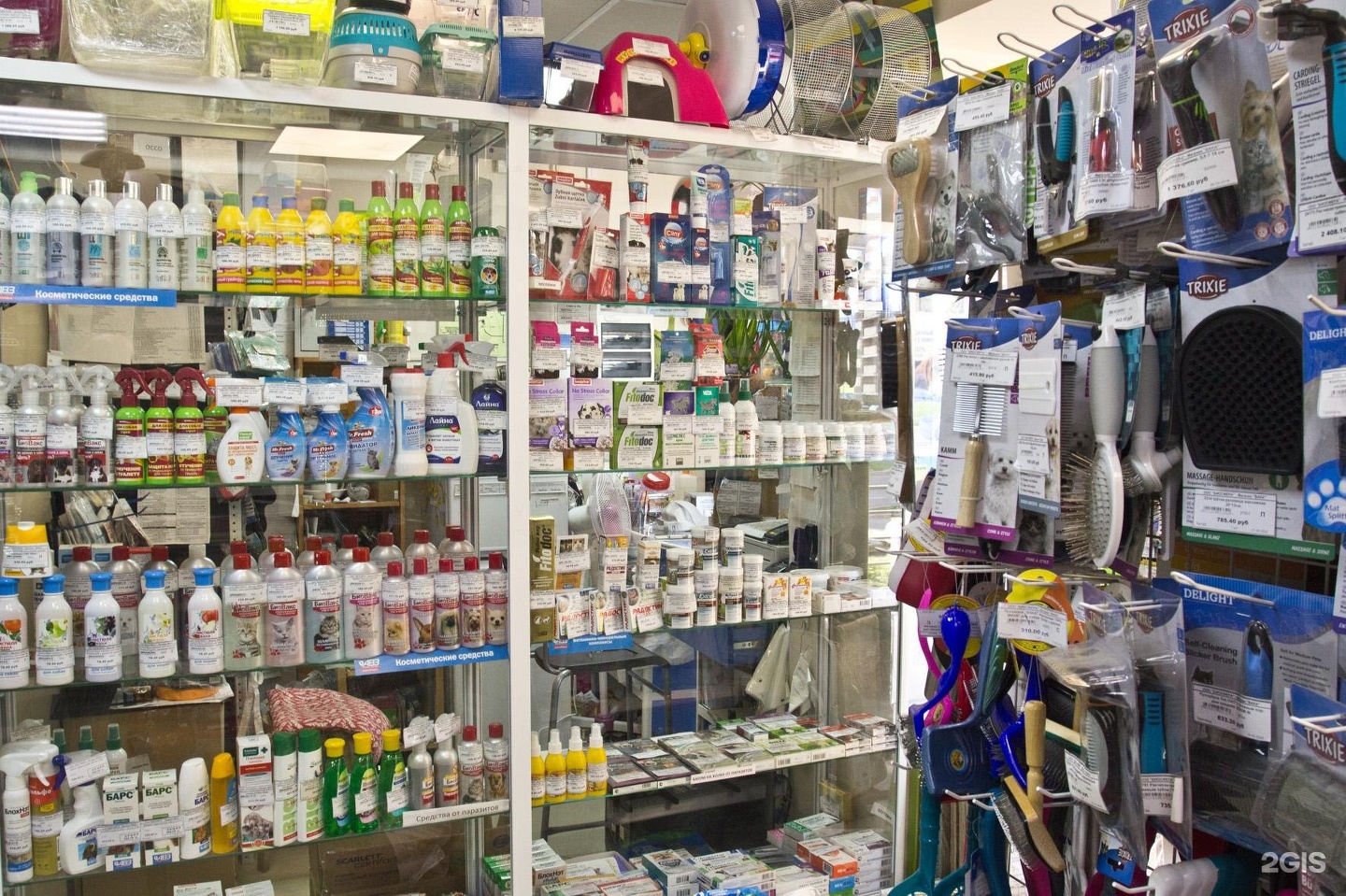 склад петшоп в парголово. лемуррр нижний новгород. зоомагазин парнас. зоомагазин парнас. зоомагазин парнас.