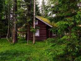 Турбаза Самая Ладога в Ленинградской области