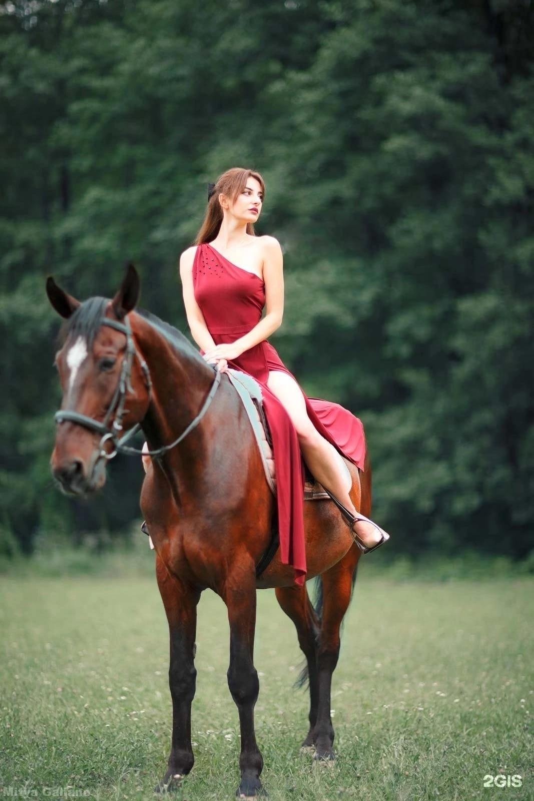 Хорс белгород. Лошадь фото. Конный клуб Белгород Песчаная. Лошадь лошадь черешня женщина камеди клаб. Конь со спидометром фото.