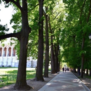 Фото от владельца Царицыно, парк культуры и отдыха