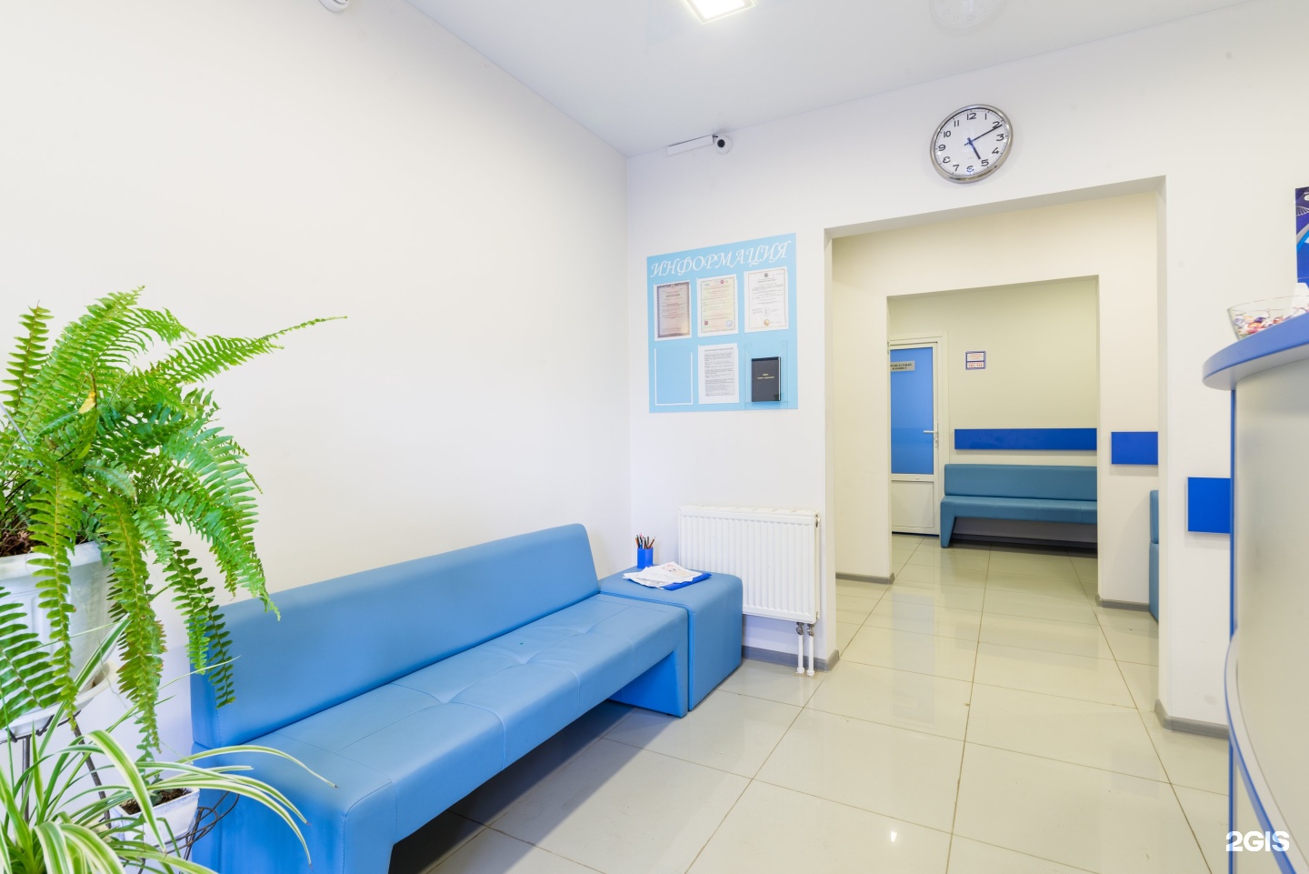 Лига реутов ленина 19. Лига реутов ленина 19. Московская область реутов улица ленина 19/10 реутовский рай. Медцентр в реутове на юбилейном проспекте. Лига реутов ленина 19.