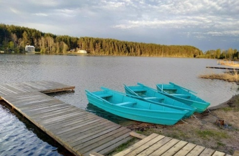 д. Нурмолицы: Коттедж Holiday house