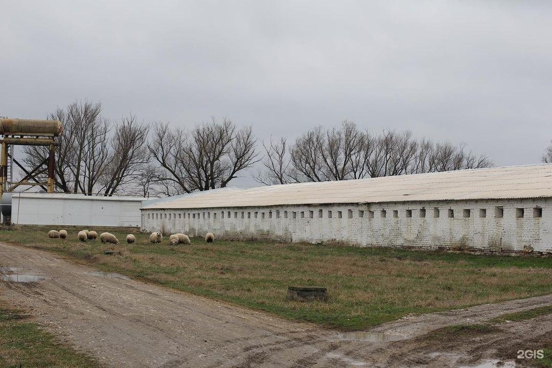 славный край махачкала. славный край махачкала. славный край. славный край ботаюрт. магазин диванто махачкала.