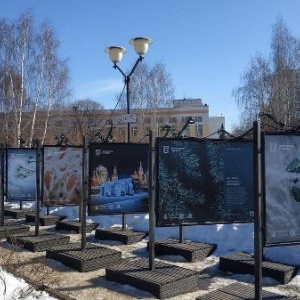 Фото от владельца Лианозовский, парк культуры и отдыха