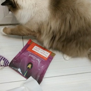 Фото от владельца Husse, интернет-магазин шведского корма для собак и кошек