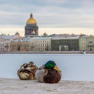 Фото от владельца Выбор-Тур, туристическое агентство