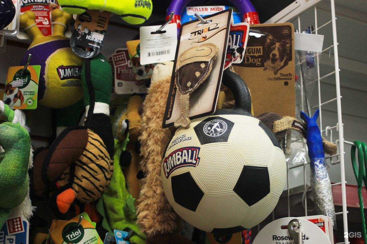 рыжий хвост зоомагазин