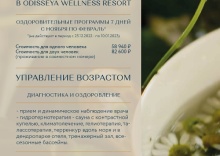 Лазаревское пос.: Курортный отель Одиссея Wellness Resort