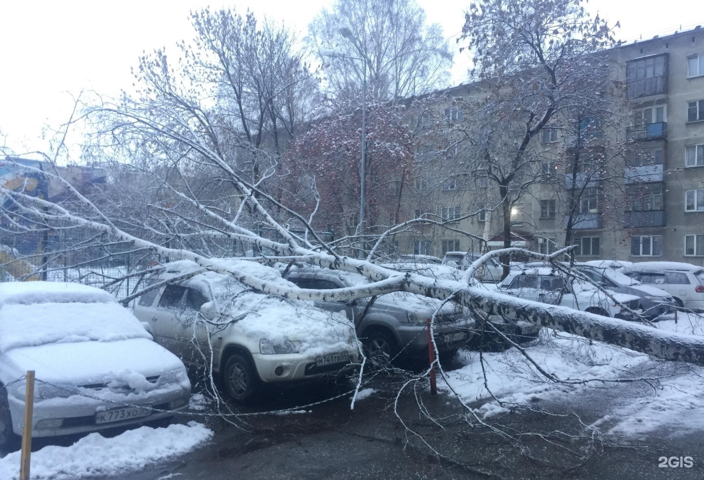 Центр лесной новосибирск