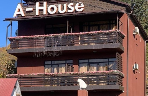 Сочи: Гостевой дом Amosov`s House