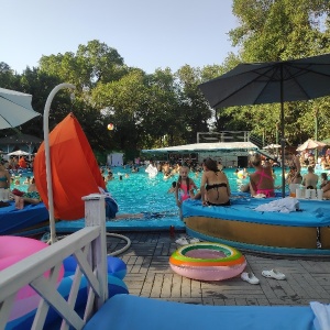 Фото от владельца Delight pool Dayclub, плавательный бассейн