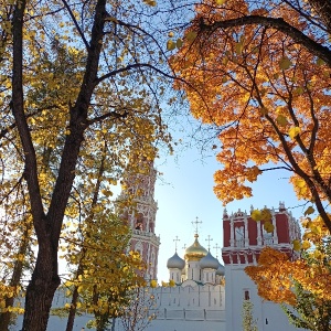 Фото от владельца Церковь Усекновения Главы Иоанна Предтечи у Новодевичьего монастыря