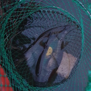 Фото от владельца Загородный рыболовный клуб