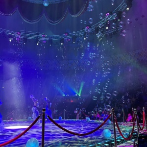 Фото от владельца Казанский государственный цирк