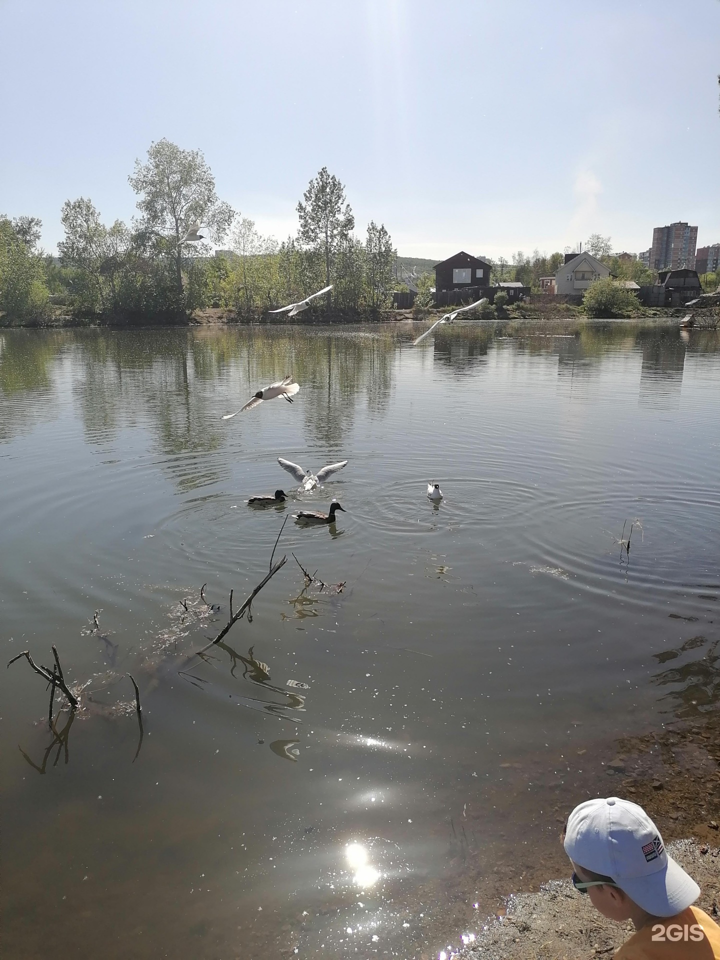 Поляна старо кузьмихинская ул 37 15. Поляна Иркутск парк бассейн.