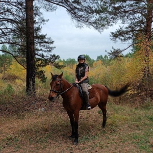 Фото от владельца Золотой мустанг, конно-спортивный клуб любителей верховой езды