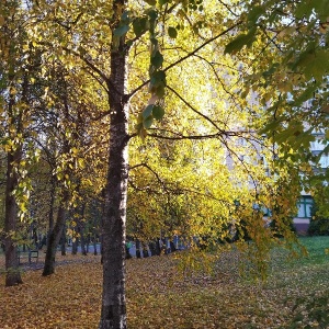 Фото от владельца Аксаково, санаторий