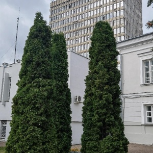 Фото от владельца Казанский (Приволжский) федеральный университет