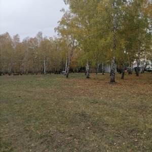 Фото от владельца Экологический парк, МБУ