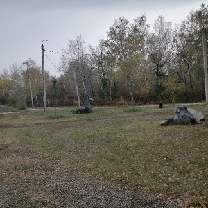 Фото от владельца Экологический парк, МБУ