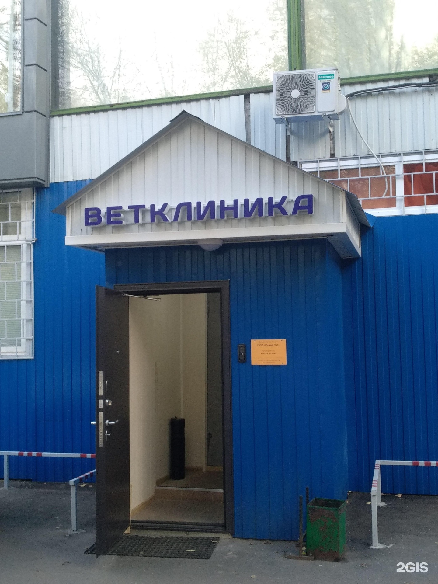 рыжий лис ветклиника томск