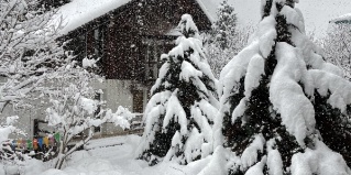 Эстосадок: Коттедж Дом Тере