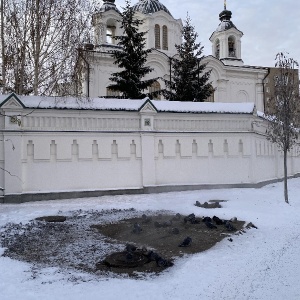 Фото от владельца Храм в честь Всемилостивого Спаса