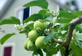 Турбаза Utro в Красной Поляне