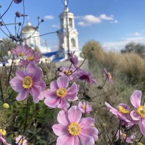 Фото от владельца Покровский кафедральный собор