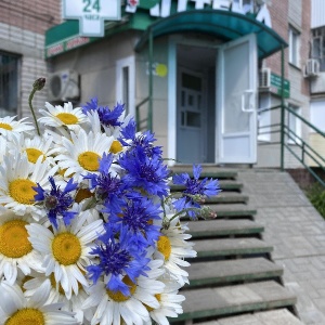 Фото от владельца Ваше здоровье, сеть аптек