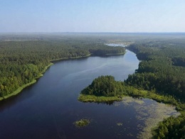 Турбаза Большая рыба в Псковской области