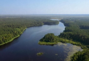 Турбаза Большая рыба в Псковской области